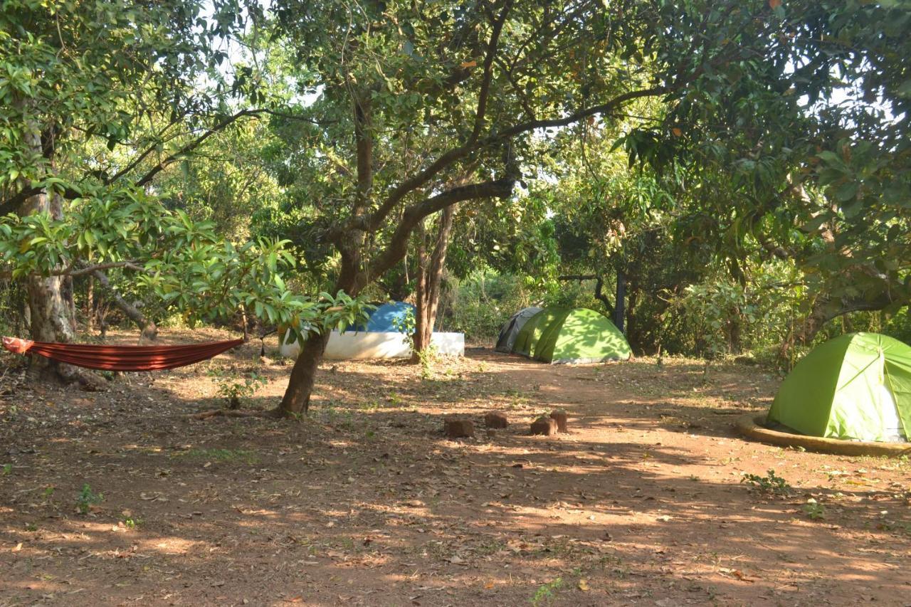 The Nest By Hostelogy Anjuna Esterno foto